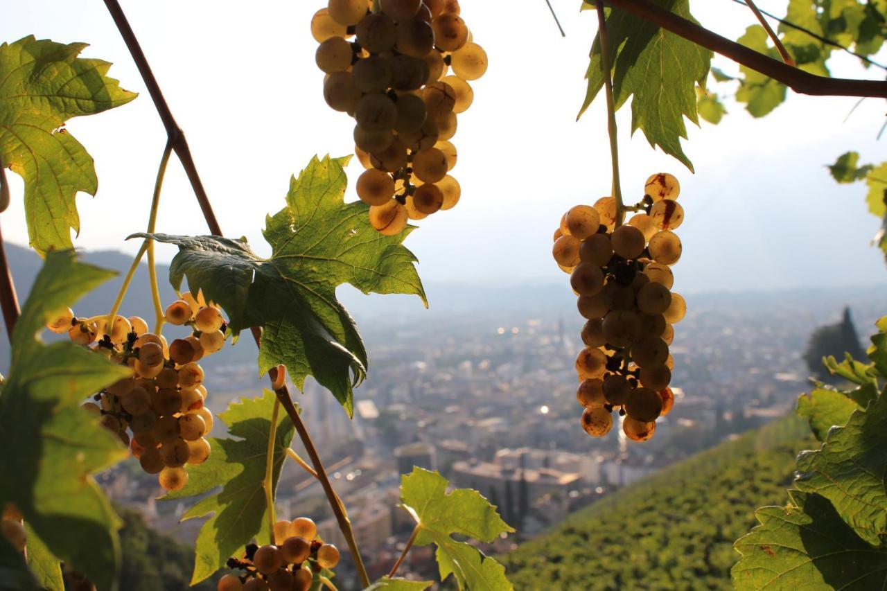 Weingut Eberlehof Apartment Болзано Екстериор снимка