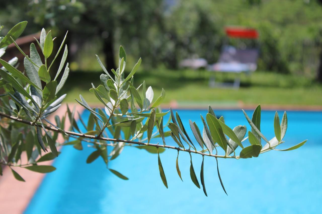 Weingut Eberlehof Apartment Болзано Екстериор снимка